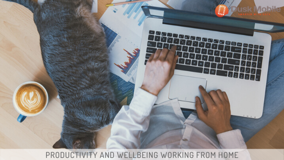 Productivity and Wellbeing Working From Home